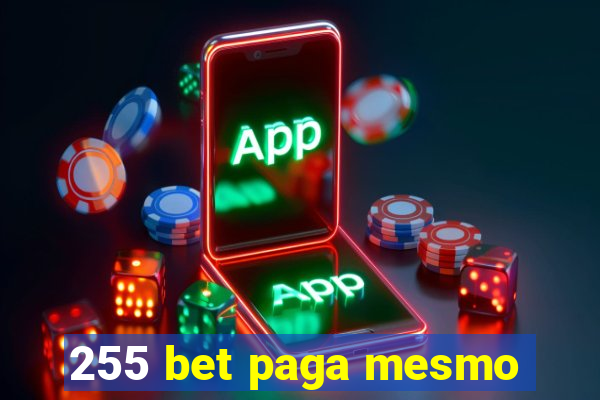 255 bet paga mesmo